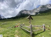 07 0A1AF5AC 0CBA 49C7 8DA9 76AE2C70B761 1 105 C