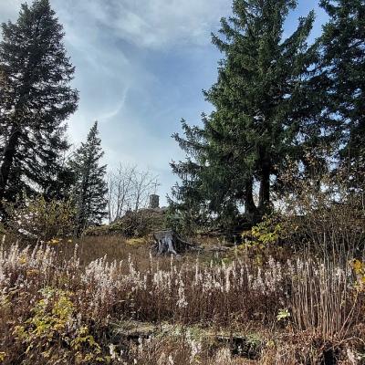 07 Falkenstein 20221023 140049 20221215 1677241545