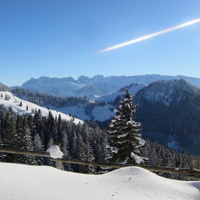 19 Muehlhoerndl 20221215 1739513034